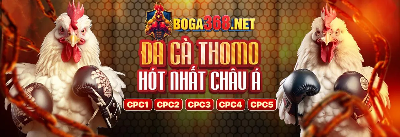 Đá Gà Trực Tiếp tại bet169
